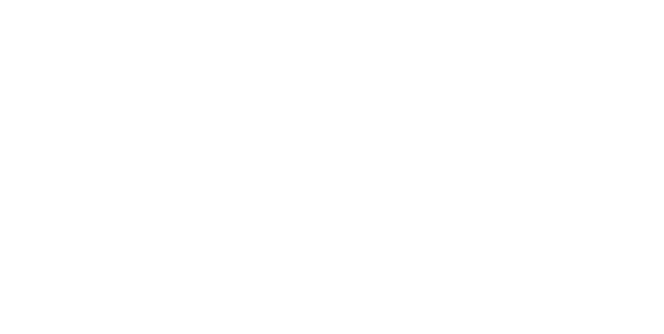 the-bay-trampolines-logo-wht